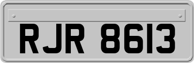 RJR8613