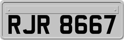 RJR8667