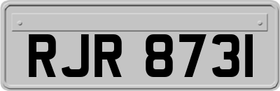 RJR8731