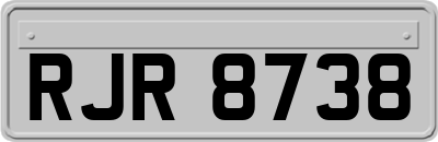 RJR8738