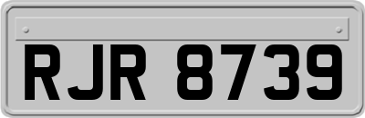 RJR8739