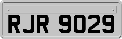 RJR9029