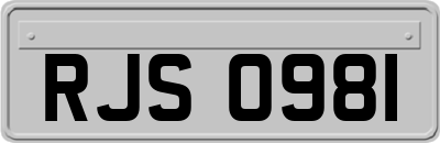 RJS0981