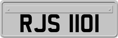 RJS1101