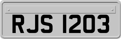 RJS1203