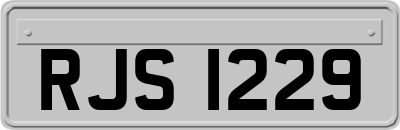 RJS1229