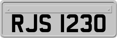 RJS1230