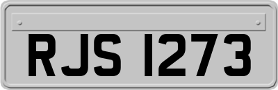 RJS1273