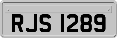 RJS1289