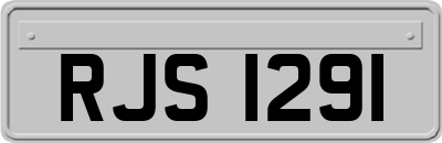 RJS1291