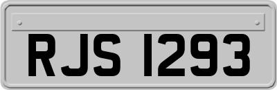 RJS1293