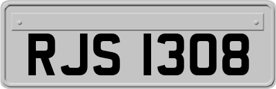 RJS1308