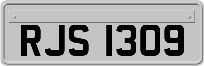 RJS1309