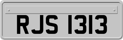 RJS1313