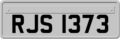 RJS1373