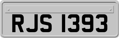 RJS1393