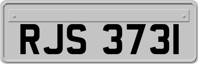 RJS3731