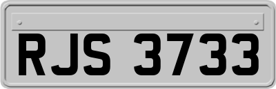 RJS3733