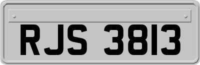 RJS3813