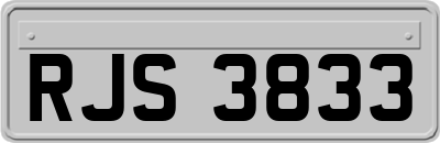 RJS3833