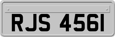 RJS4561