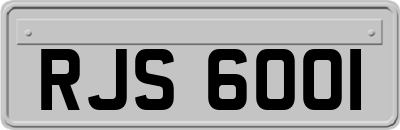 RJS6001