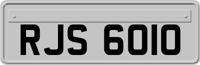 RJS6010