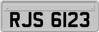 RJS6123