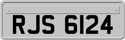 RJS6124