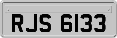 RJS6133