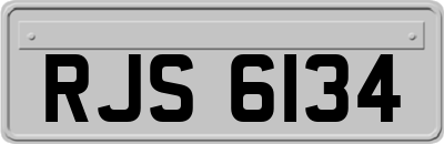 RJS6134