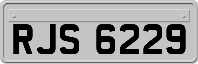 RJS6229