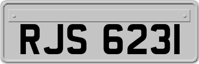 RJS6231