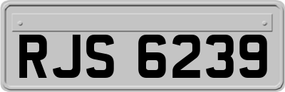 RJS6239