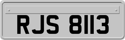 RJS8113