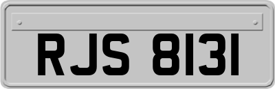 RJS8131