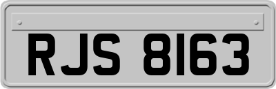 RJS8163