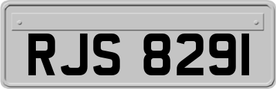 RJS8291