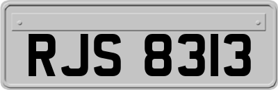 RJS8313