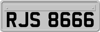 RJS8666