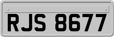 RJS8677