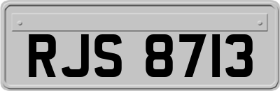 RJS8713