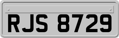 RJS8729