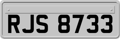 RJS8733