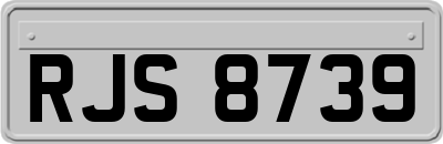 RJS8739