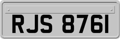 RJS8761