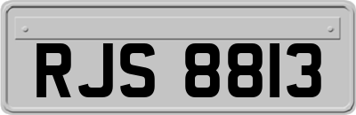 RJS8813