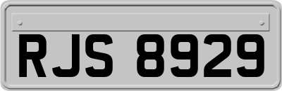 RJS8929