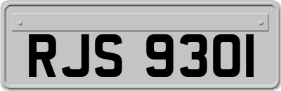 RJS9301