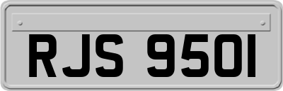 RJS9501